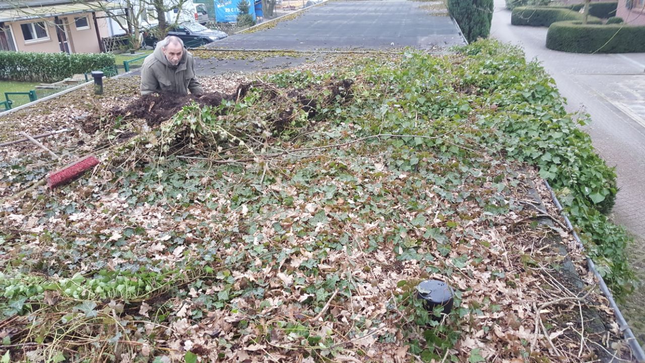 Reinigung von Garagendächern